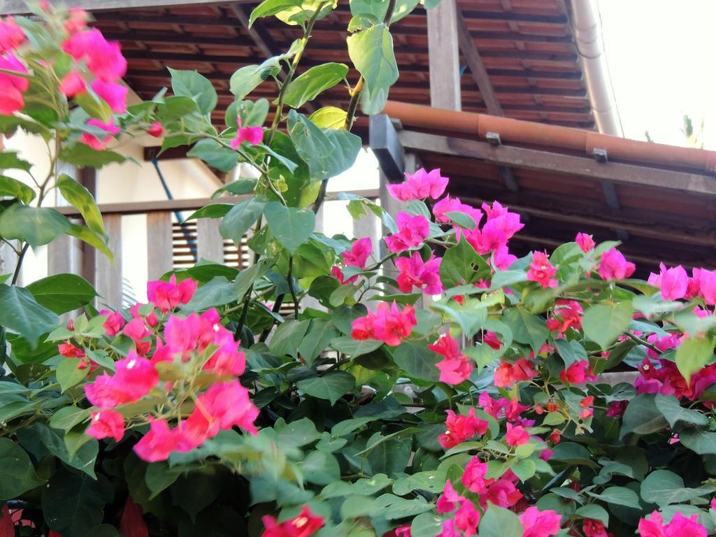 Nossa Casa Em Jeri Villa Jijoca de Jericoacoara Buitenkant foto